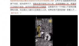 视频人物爆料怎么弄好看,打造惊艳视觉的秘诀解析