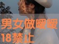 18禁止在线观看,网络观看的界限与挑战